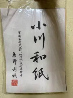 Item thumbnail for item db4ba96f-b282-4474-b39f-6d468392e7e6