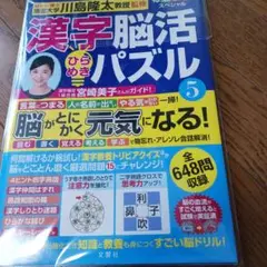 毎日脳活スペシャル 漢字脳活ひらめきパズル⑤