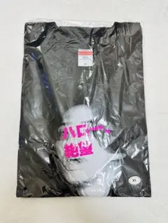 新品未使用 マカロニえんぴつ ハロー絶望Tシャツ XL