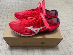 Item thumbnail for item 87d962b7-4ff0-4d8c-98aa-265db5863ea6