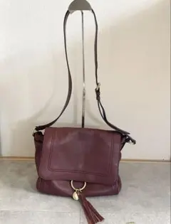 【極美品】Cole Haan ボルドー　レザー　ショルダーバッグ　本革