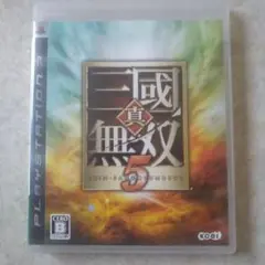 真・三國無双5