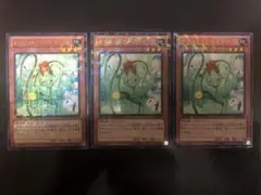 遊戯王 ナチュルローズウィップ 字レア 3枚 DTC2