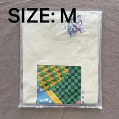未使用 ユニクロ UT 鬼滅の刃　Tシャツ　Mサイズ
