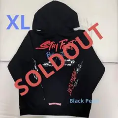 CHROME HEARTS マッティボーイ PRO フーディ STAY FAST