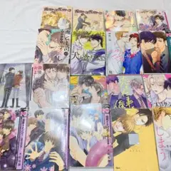 ボーイズラブ漫画　18冊セット まとめ売り　BL