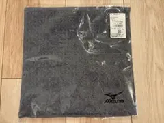 Item thumbnail for item e7cc7fe4-081d-49a1-9c32-f809d831f46a