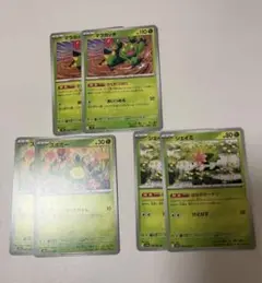スボミー　シェイミ　マラカッチ各2枚