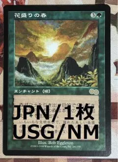 USG 花盛りの春/Vernal Bloom MTG