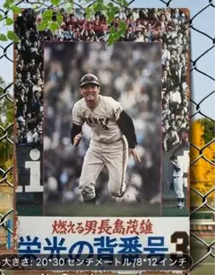 10-76 ブリキ看板　アメリカン雑貨　昭和レトロ　インテリア