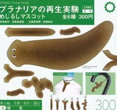●全6種●　STC プラナリアの再生実験 めじるしマスコット②