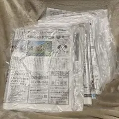 【未使用・未開封・袋付き】新聞紙　朝刊　10日分
