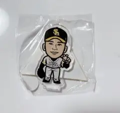 松本晴 49 シークレットアクリルスタンド若鷹ガチャ福岡ソフトバンクホークス