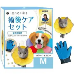 Item thumbnail for item b398bfe4-eb8a-44b1-b4f0-4adb9cecef9a