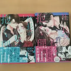 社長が私を抱く理由 1〜2巻セット