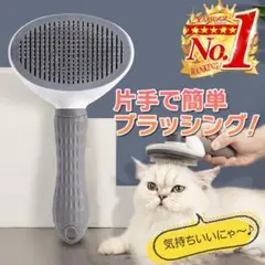 Item thumbnail for item 1c63d741-d598-4bf8-9dba-72a229be70d2