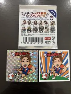 アルビレックス新潟　ビッグスワンシール　秋山裕紀