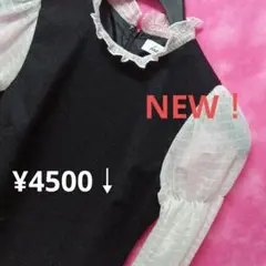 Sサイズ【期間限定♥】ダズリン　シースルー長袖ワンピース　黒　¥4500↓