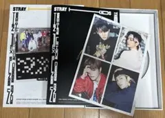 Stray Kids スキズ GO生 アルバム