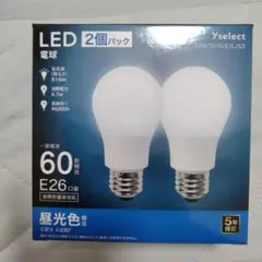 LED電球 2個パック E26 6.5W 810lm