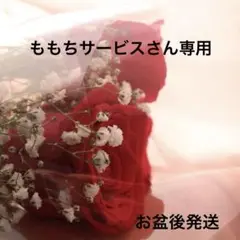 ももちサービスさん専用