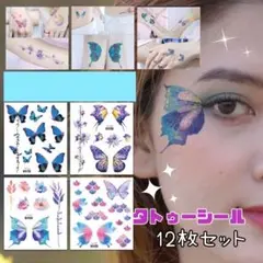 Item thumbnail for item 8e48504c-a017-466b-b987-f60c34b10b14