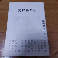 文にあたる