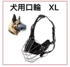 Item thumbnail for item c00126d2-84a5-4132-b73f-44171dd40e1b