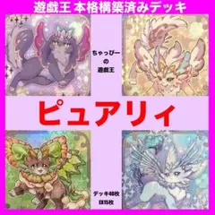 遊戯王 ピュアリィ 本格構築済み デッキ エクスピュアリィノアール 大会構築