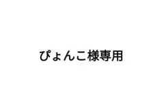 ぴょんこ様専用 トレカ