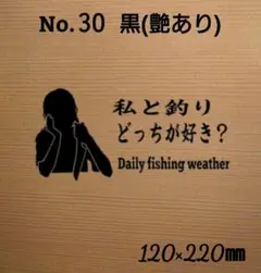 Item thumbnail for item a629ba9a-535a-486a-a372-0fbfae5f45f2