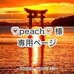 ♡peach♡ 様 4点お纏め専用ページ