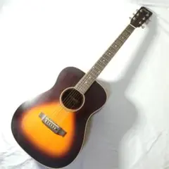 値下げ！即日発送！Rayfield RST series 新品弦　ケース付き 値下げ！即日発送！Rayfield RST series 新品弦 ケース付き