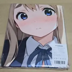 5008 バスタオル タペストリー 萌タオル N17831
