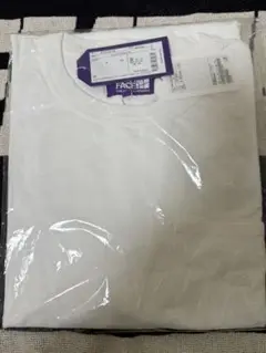 THE THE NORTH FACE PURPLE LABEL 7oz L/S