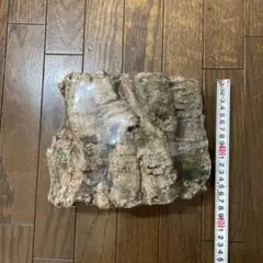 Item thumbnail for item 0eca664c-c7be-4b0e-b373-32a1f7cf9338