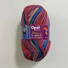 Opal毛糸4本撚中細おちゃめ2(9951)