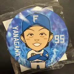 ファイターズ 柳川大晟 95