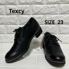 【新品未使用】asicsテクシー ウイングチップ SIZE 23EEE 黒