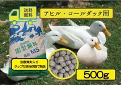 ★送料無料【アヒル・コールダック用飼料・ペレット】500g