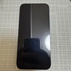 iphone12 純正液晶パネル 訳あり 399