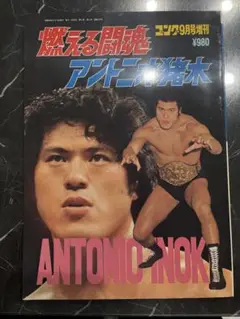 Item thumbnail for item 39aeb663-3948-44d7-83e8-5d2b20252215