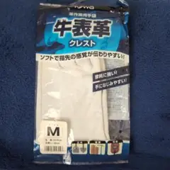 Item thumbnail for item b02475de-592b-4bcb-8888-3c7997224f94