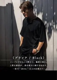 SUAVELE ヘンリーネック Tシャツ RX-0060 ブラック1サイズ