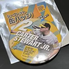 福岡ソフトバンクホークススチュワートJr シークレット缶バッジ 2025キャンプ