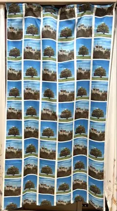 Item thumbnail for item b30ee34f-d411-42ce-abe4-be066dc42418