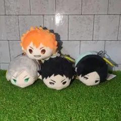 ハイキュー　もちマス　マスコット　もちもちマスコット