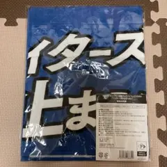 北海道日本ハムファイターズ　ファンクラブ限定　タオル　新品②