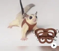 Item thumbnail for item 6b17ca9c-b029-42c6-934f-e493ea5a6701