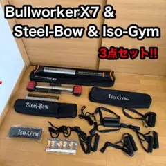 新品未使用　BULLWORKER（ブルワーカー）X7解説DVD　マニュアル付き 新品未使用 BULLWORKER（ブルワーカー）X7解説DVD マニュアル